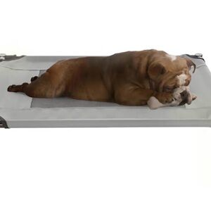 Premium Elevated Dog Bed with Mesh Center - White